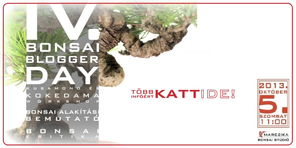 bonsai alakitas es bonsai kiallitas az egyetemi bonsai club oszi kiallitasan